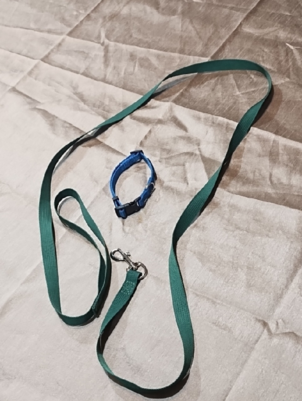 Top Paw Green Leash with Blue Collar Small Dog Never Used.